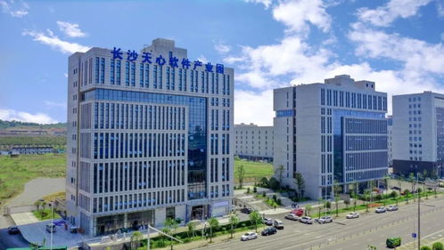 軟件業高速發展，為什么是天心長沙軟件開發